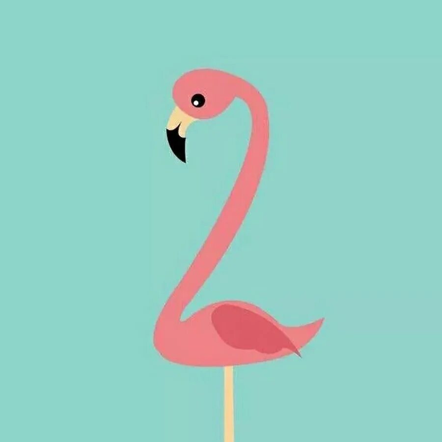 Iphone flamingo. Iphone flamingo