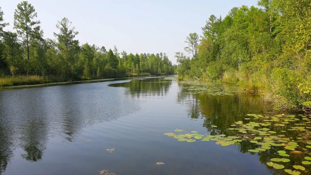 Озеро дикое Хакасия. Таежное озеро Красноярск. Озеро Улюколь Хакасия. Иланский озеро Таежное. Рыбалка в тайге на озера