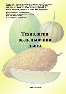 Дыня агротехника