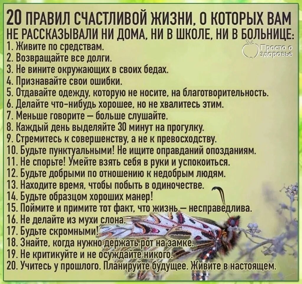 Правиласемецной жизни. 10 правил счастливой семьи. Правила жить счастливо. Главные правила жизни. Правило жизни человека.