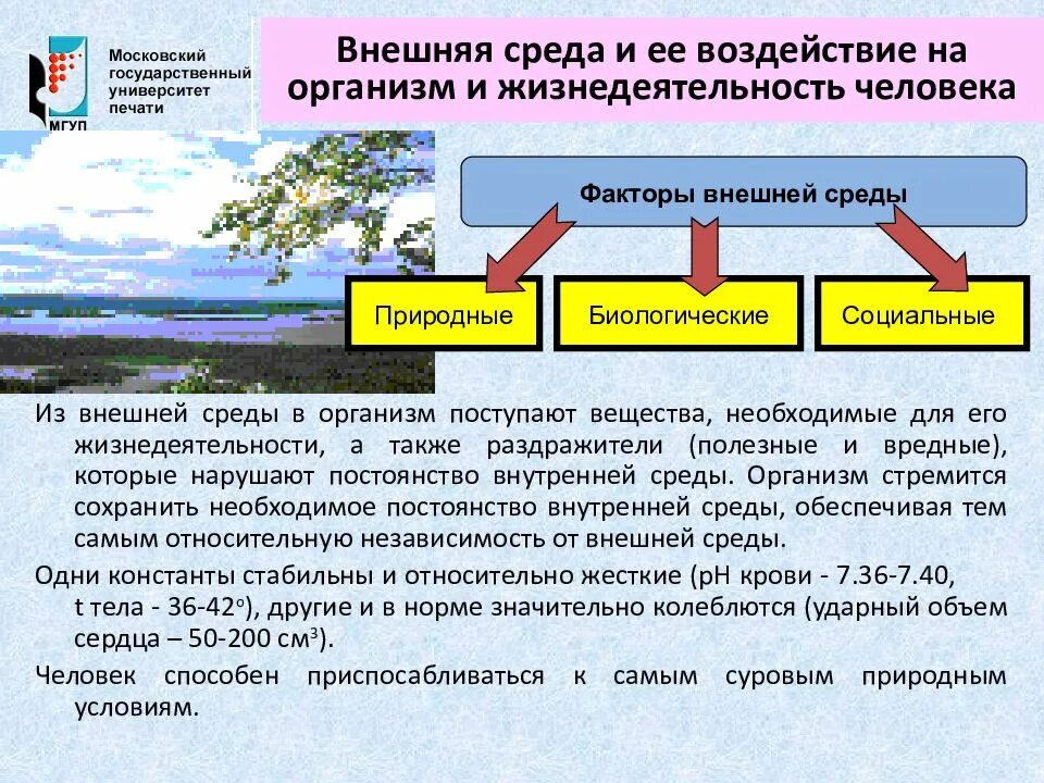 А также необходима в среде. Влияние внешней среды на организм. Факторы внешней среды на организм. Влияние внешней среды на человека. Внешняя среда человека.