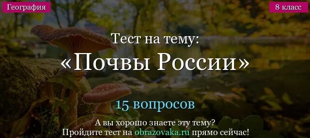 Почвы россии 8 класс тест с ответами. Тест почвы России. Тест по географии 8 класс почвы России. Тест по географии тема почвы. Тест почвы России 8 класс география.