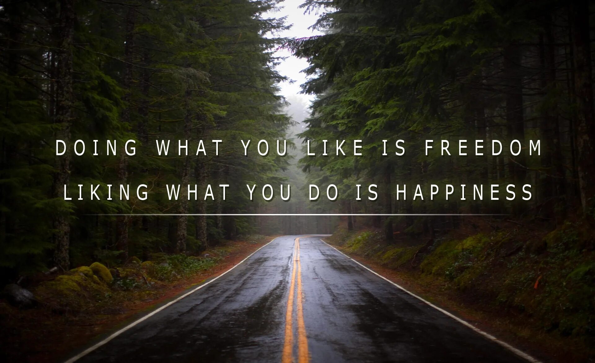 What do you when you travel. Эстетика what you like. doing what you like is freedom. фото what we are like. what you like.