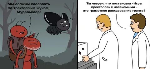 Да это я жук