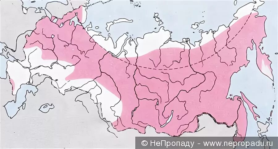 Рысь обитание в россии. Рысь ареал обитания в России. Ареал распространения рыси. Карта обитания рыси в России. Обыкновенная Рысь ареал обитания.