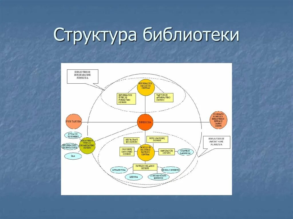 Структура библиотечных. Структура библиотеки. структура библиотеки схема. структура современной библиотеки. структура вузовской библиотеки.