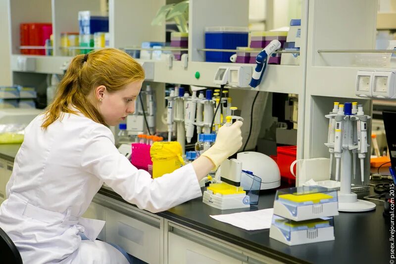 Химик лаборант. Фармацевт лаборант. Современная биологическая лаборатория. Одежда лаборанта в лаборатории. Фармацевт лаборант.