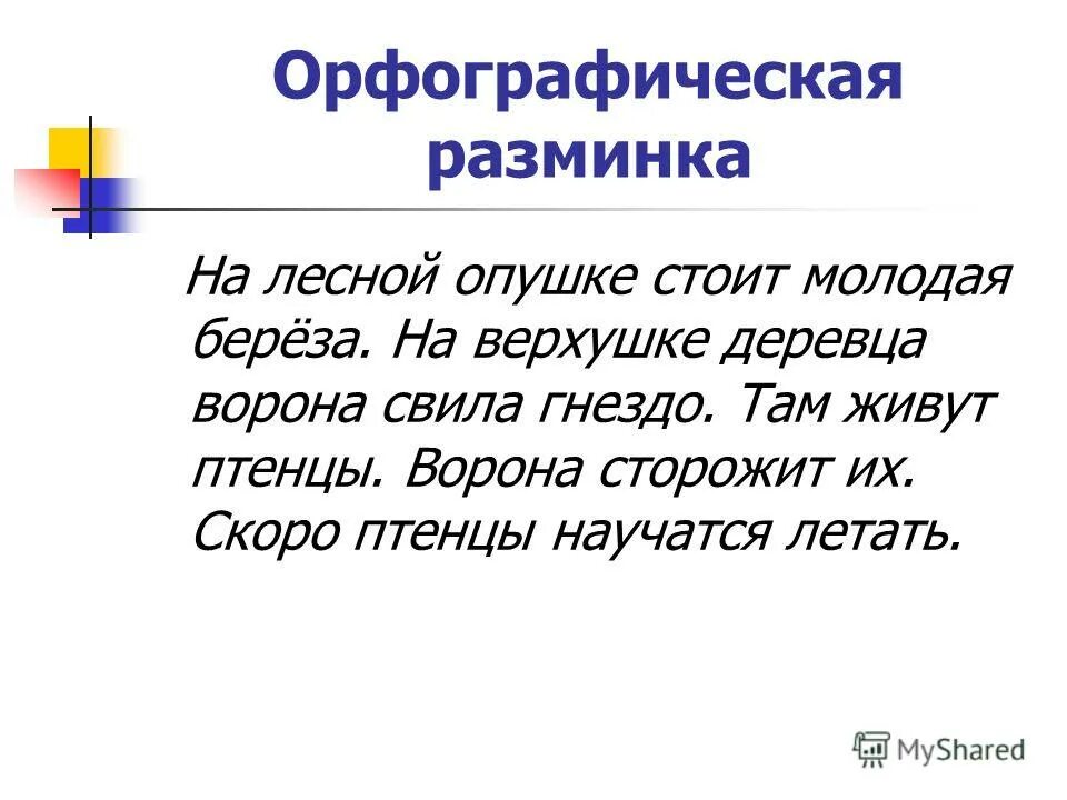 свила гнездо проверочное слово