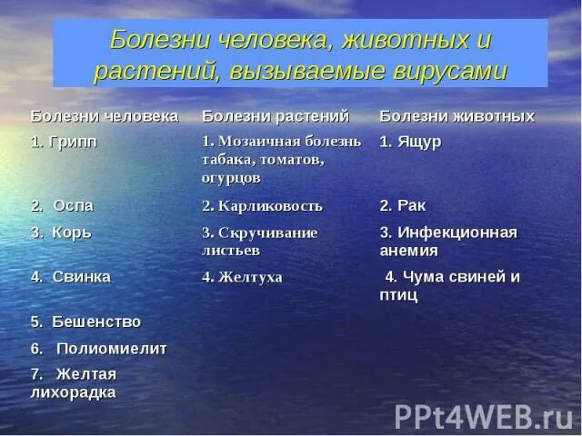 Примеры заболеваний вызываемых вирусами. Болезни животных вызываемые вирусами таблица. Болезни человека животных и растений вызываемые вирусами. Болезни человека вызываемые вирусами таблица. Заболевания вызываемые вирусами у растений животных человека.