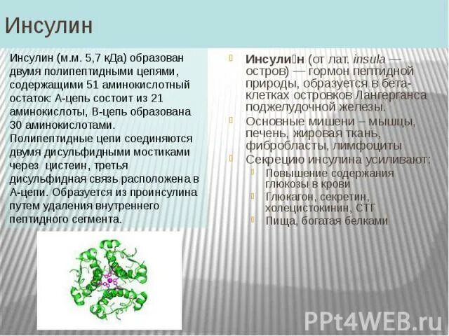 Инсулин усиливает. Пептидные и белковые гормоны. Инсулин. Инсулин пептидный гормон. Инсулин, пептидный гормон островков Лангерганса. Инсулин химическая природа.