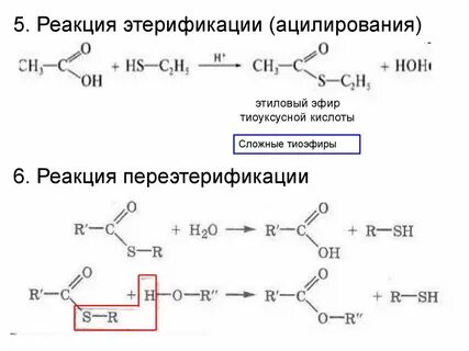Реакция этерификации этанола