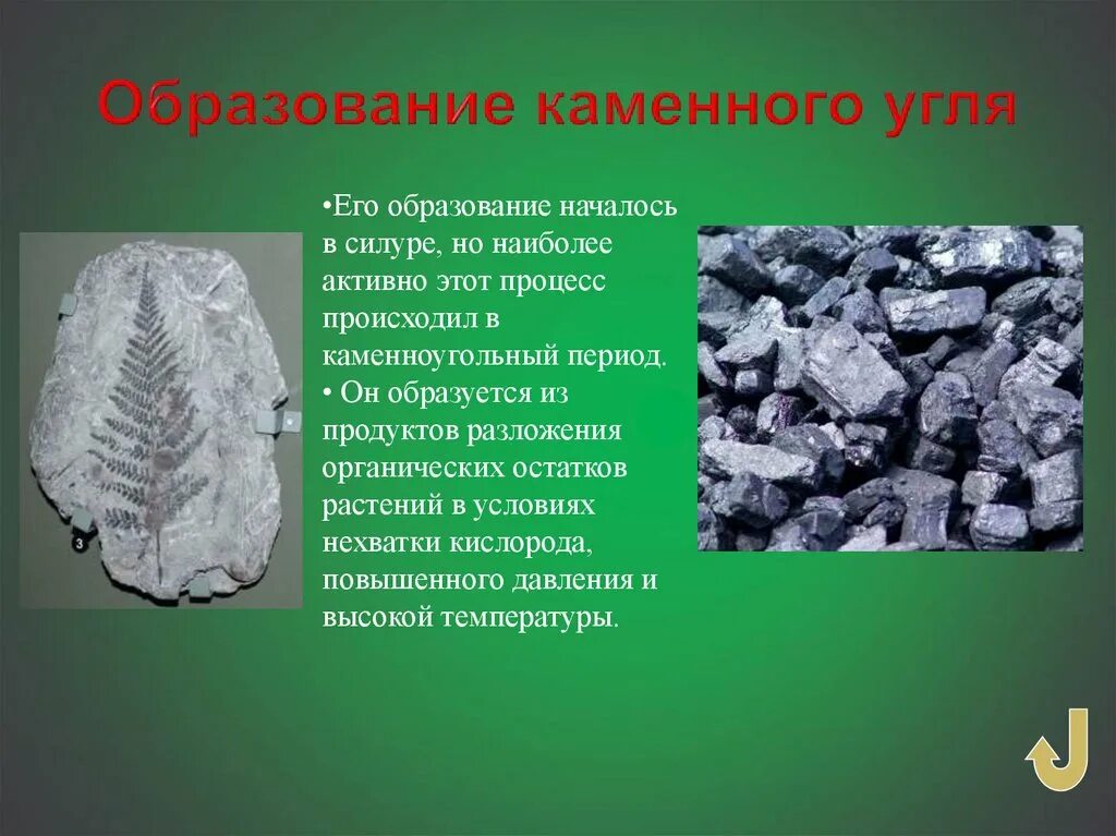 Появление каменного угля. Образование каменного угля. Как образовался каменный уголь. Каменный уголь образовался из. Каменный уголь из чего образуется.