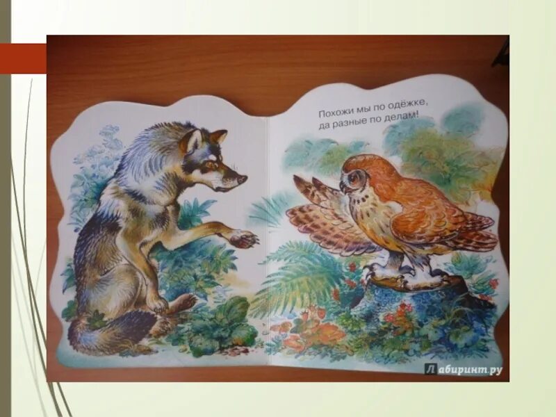 Иллюстрации к книгам Сладкова волк и Сова. Волк и Сова Сладков. Волк Сладков.