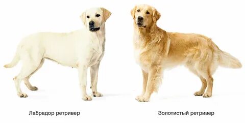 Аудармасы бар онлайн порно фильмдерді қараңыз