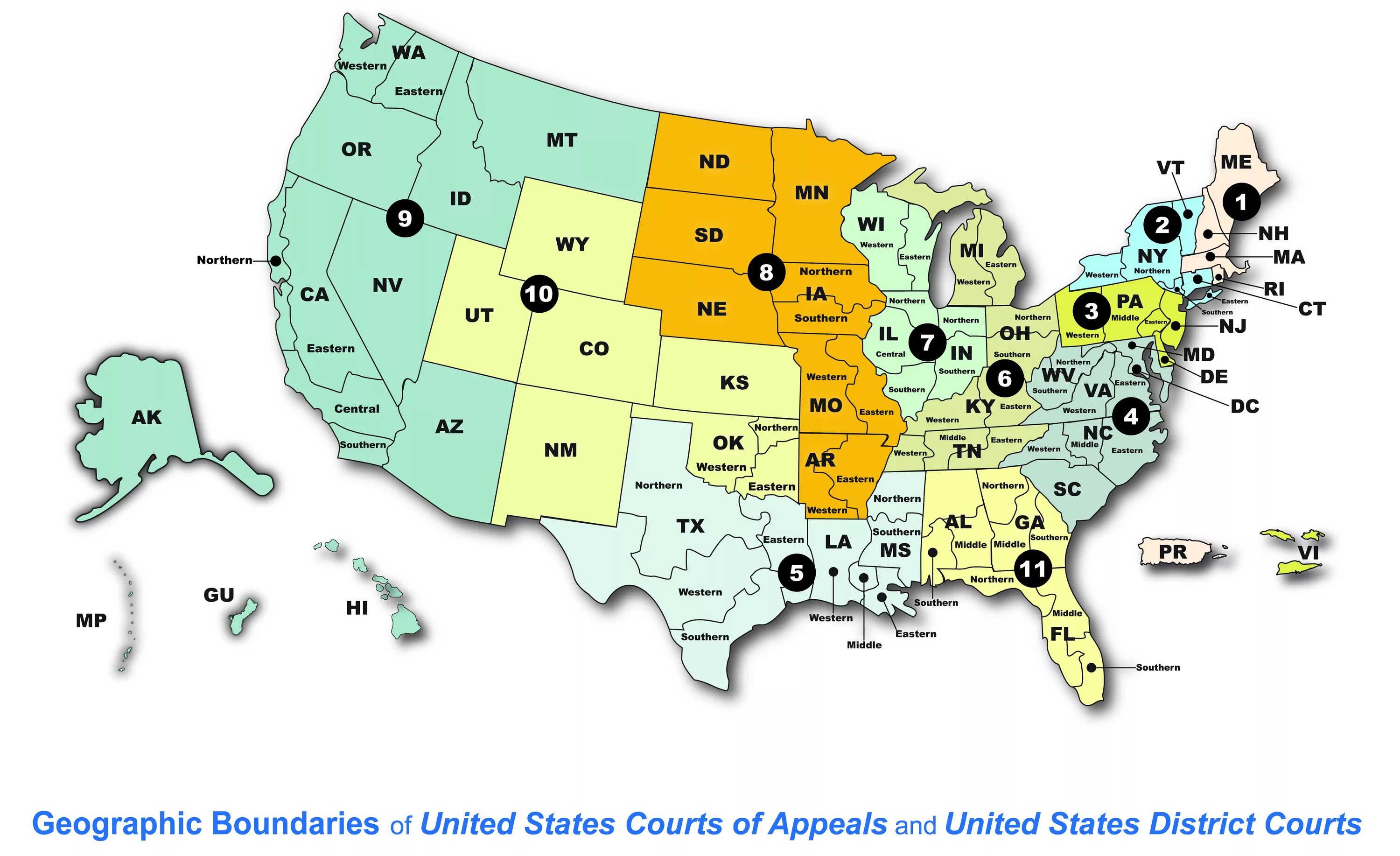 Federal District Courts. United States District Court. The Federal Courts of United States. Окружные суды США. State district