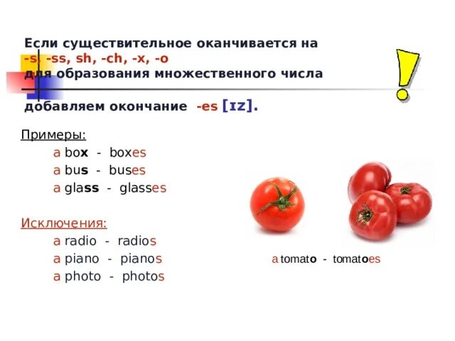 Правила образования множественного числа существительных. Окончания существительных во множественном числе. Существительные оканчивающиеся на о. Окончание мн число добавляем es. Единственное и множественное число существительных 5 класс