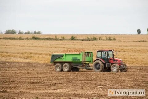 Тверское сельское хозяйство