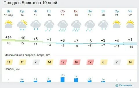 Брест на неделю