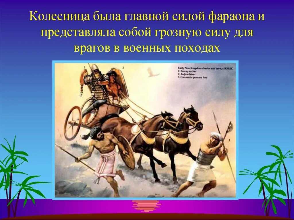 Походы фараона. Военные походы фараона. Военные походы фараонов боевые колесницы. Военные походы фараонов презентация. Военные походы фараонов 5 класс впр кратко