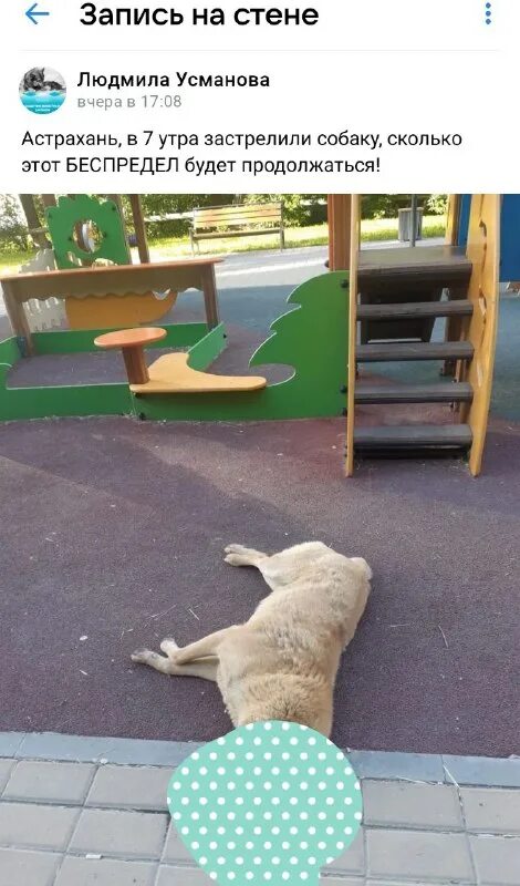 Похороны юры шатунова 2022. Рано утром был застрелен. Рано утром был застрелен. Казань стрельба в школе 11 05 2021. Стихотворение про девочку и войну.