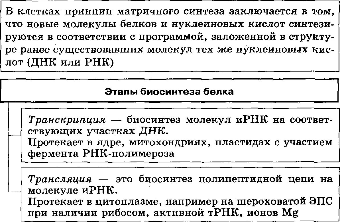 В результате реакций матричного синтеза синтезируются молекулы. Матричные синтезы таблица. Этапы матричного синтеза таблица.