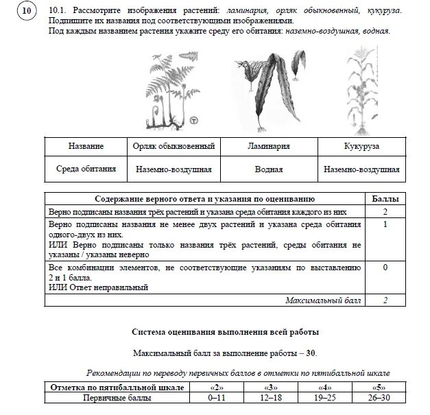 Биология 6 класс ВПР 2020 С ответами. ВПР по биологии 6 класс Пасечник. Биология 6 класс Пасечник ВПР. ВПР 6 класс биология 2023 с ответами.