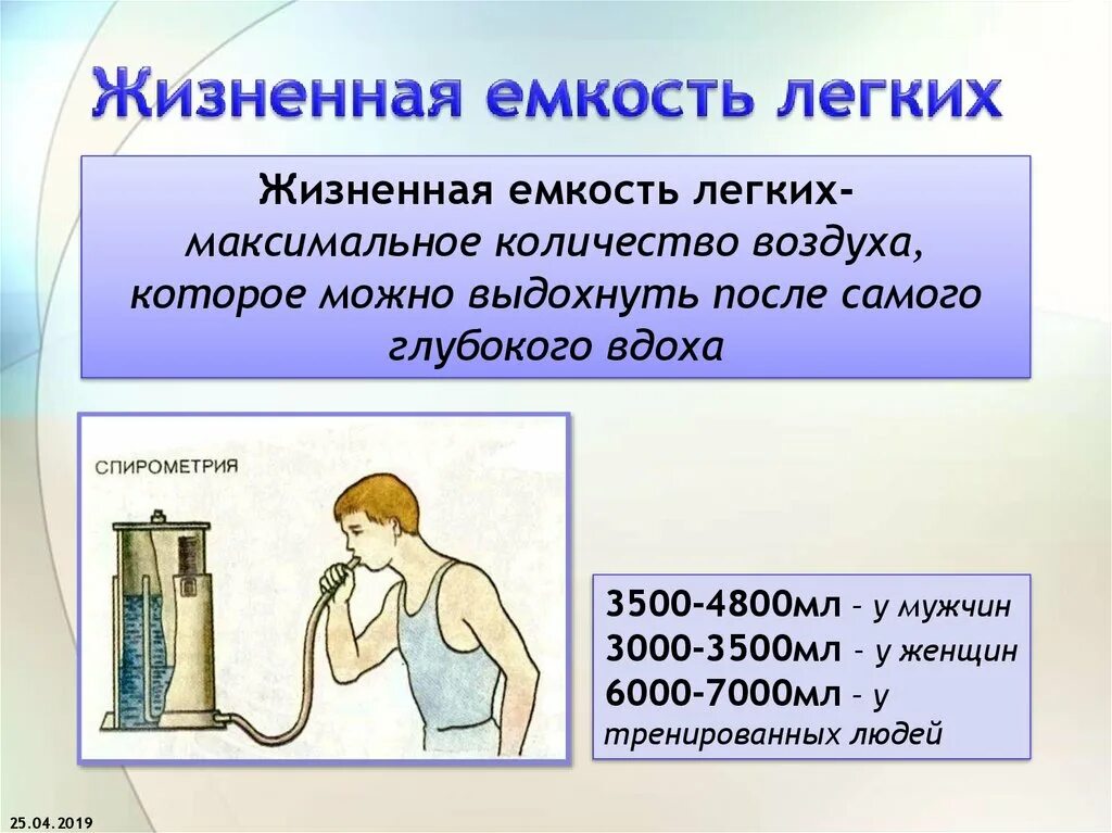 Как определить емкость легких. Жизненная емкость легких жел это. Каковы средние показатели жизненной емкости легких у женщин?. Жизненная емкостл легких. Жтзненная есеость оегких.