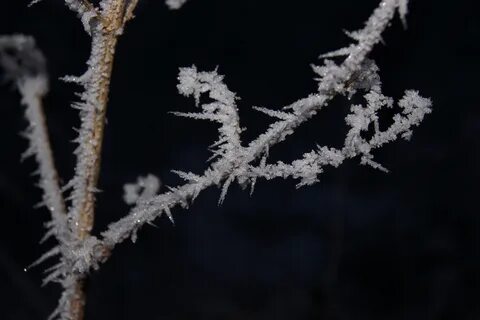 Иней можно ли перенести