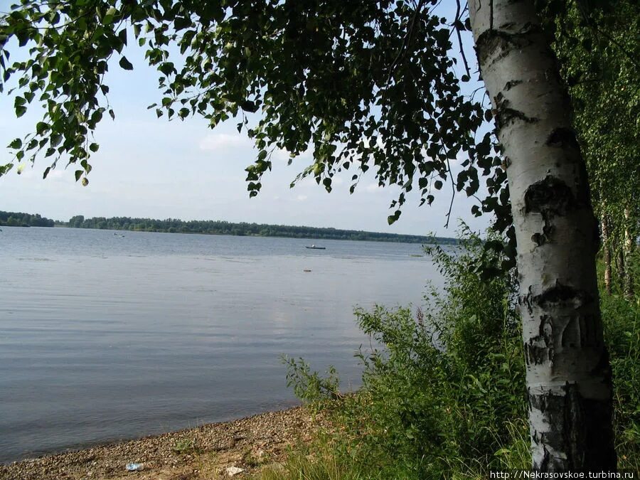 Некрасовское волга. Диево-городище ярославль. Ярославская область диво городищи. Диево-городище ярославль. П некрасовское ярославская область.