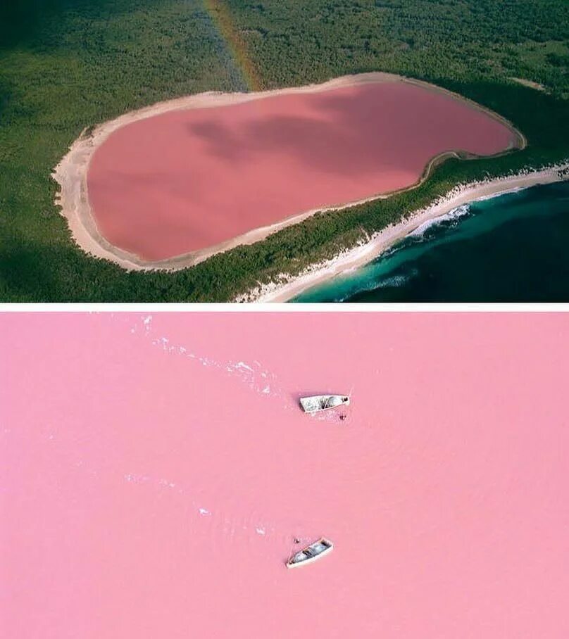 Озеро в австралии 3. Озеро Хиллер (остров Миддл). Озеро Хиллер (hillier), Австралия. Розовое озеро Хиллер Австралия. Озеро Ретба Сенегал.