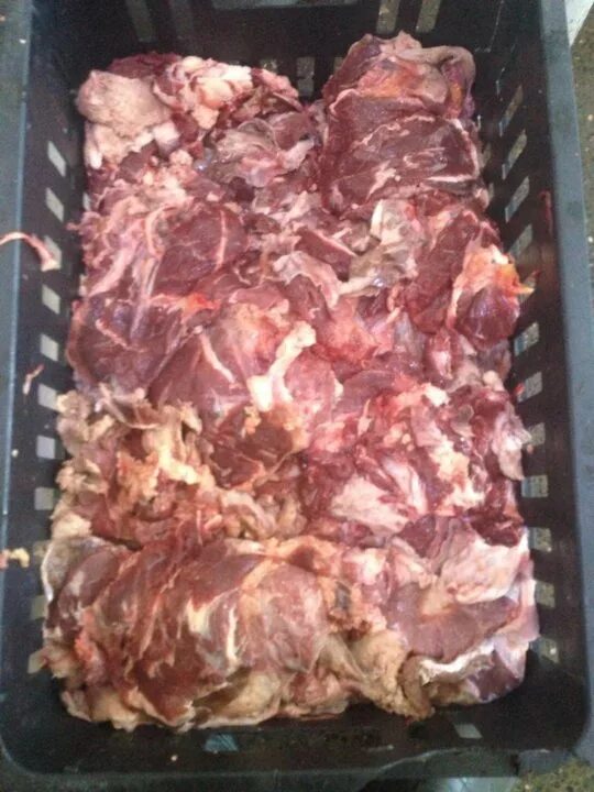 Мясо голов говяжьих фото мясо голов Авито Объявления во всех регионах: купить вещь, выбрать исполнителя