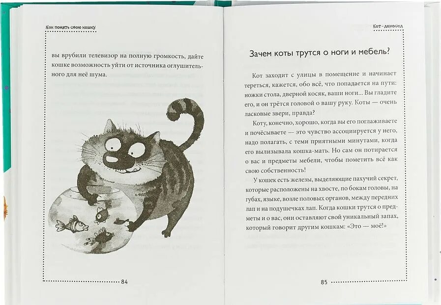 Как понять кошку. Как понять своего кота. Как понять что говорит кошка. Как понять что хочет кошка.