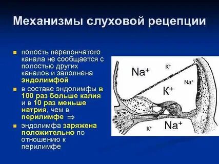 Полость другой