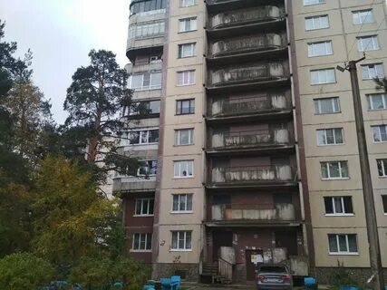 Погода в приладожском кировский