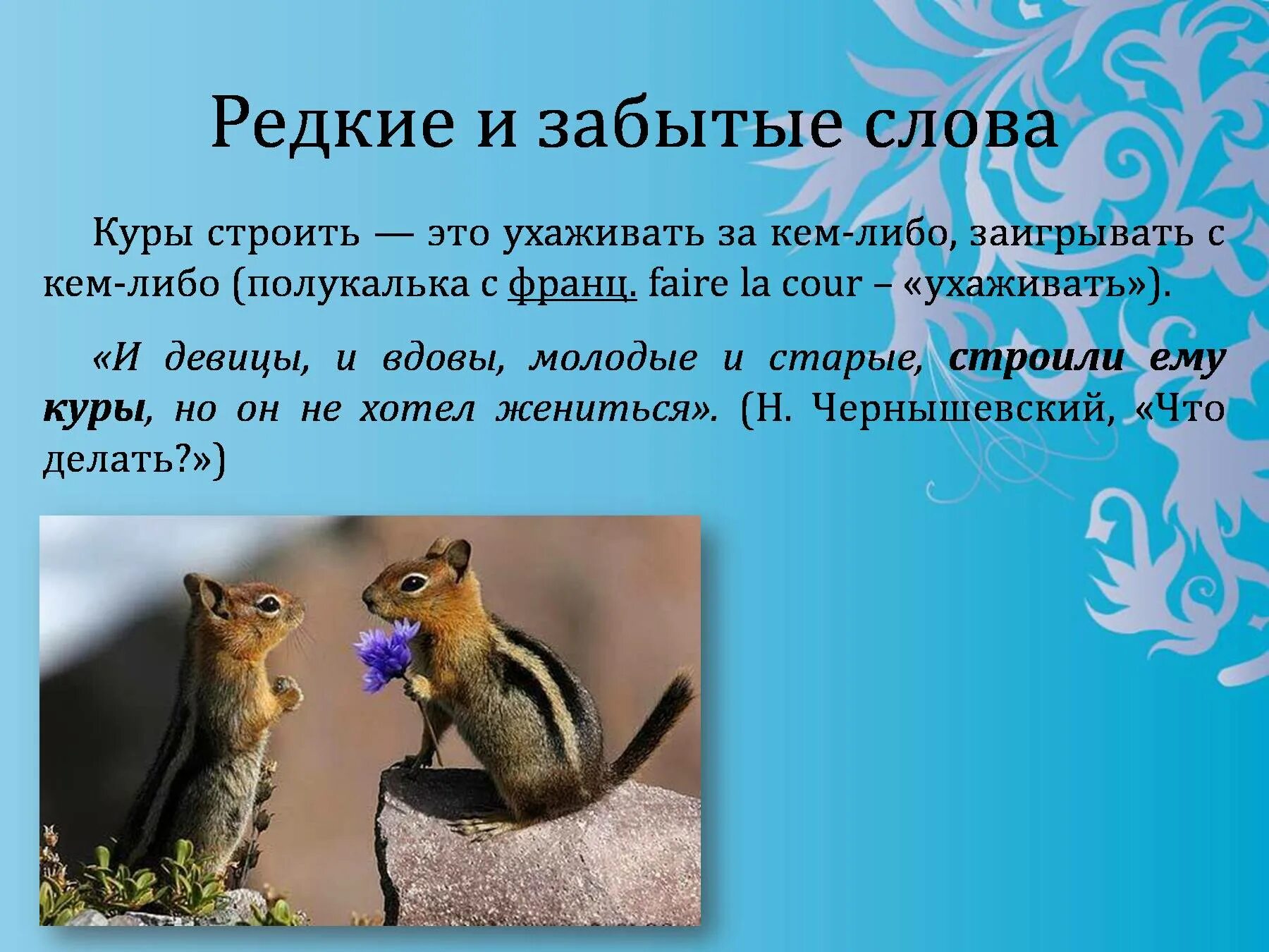 Редко используемые слова. Редкие слова. Интересные необычные слова. Редкие интересные слова. Редкие слова в русском языке.