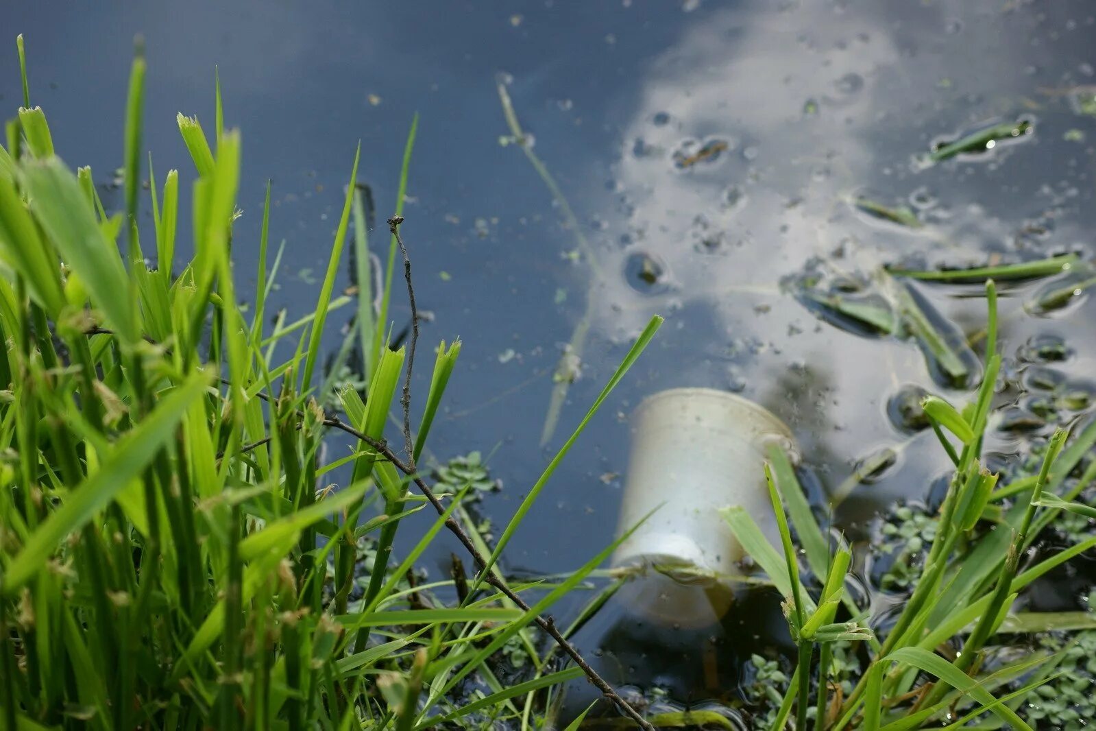 Грязная мутная вода. Загрязнение воды. Загрязнение водоемов. Экология водоемов. Загрязнение пресных вод.