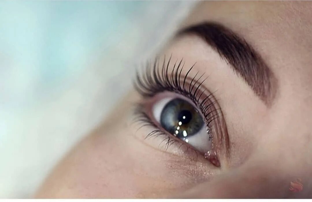 ресницы дорого. ламинирование ресниц 6д. Lash lamination ламинирование ресниц. ламинирование ресниц в томске. элиминирование ресниц.