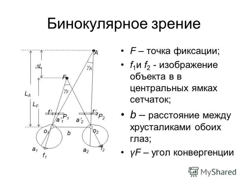 стереоскопическое зрение. монокулярное и бинокулярное зрение. паралитическое косоглазие у детей. бинокулярное зрение. бинокулярное косоглазие.
