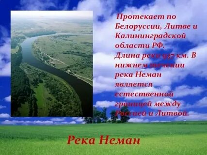 Режим немана