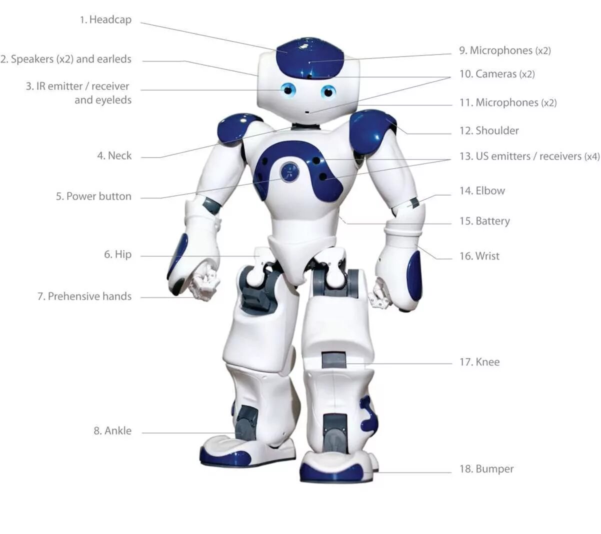 Значение слова робот. Части робота. Строение робота. Из чего состоит робот. Части робототехники.