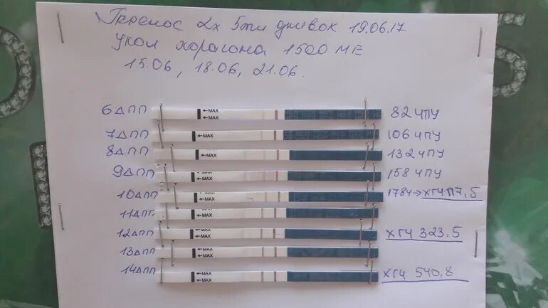 Тест на беременность после эко на 7 день. ХГЧ эко 10 ДПП. ХГЧ 225 на 10 ДПП. Тесты не беременность после эко.