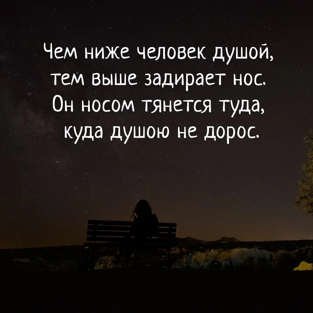 Туда где мысли. Чем ниже человек душой тем выше. Чем ниже человек душой тем. Чем ниже человек душой тем выше задирает нос. Чем ниже человек.