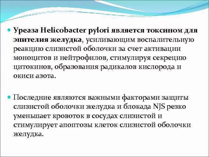 Фермент уреаза. Хеликобактер уреаза. Уреаза Helicobacter pylori. Уреаза фермент. Патогенез гастрита хеликобактер пилори.