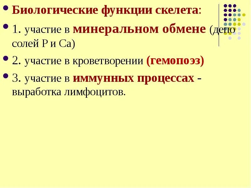 К функциям скелета относят участие. Биологические функции скелета. механические и биологические функции скелета. биологическая функция скелета участие в обмене. функции скелете биологическая функция.