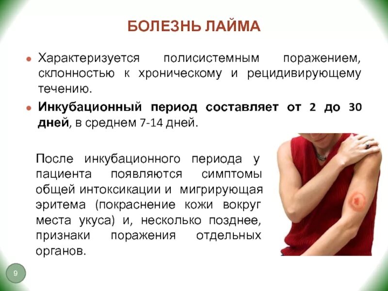 Инфекционные заболевания мозга Meddoc