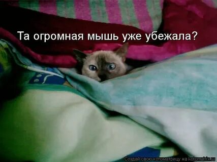 Опасность миновала