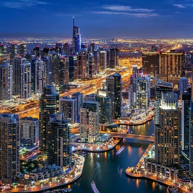 Ideal city. In ideal city к уроку. Пьетро делла франческа идеальный город. Идеальный город альберти. Парк канады калгари.