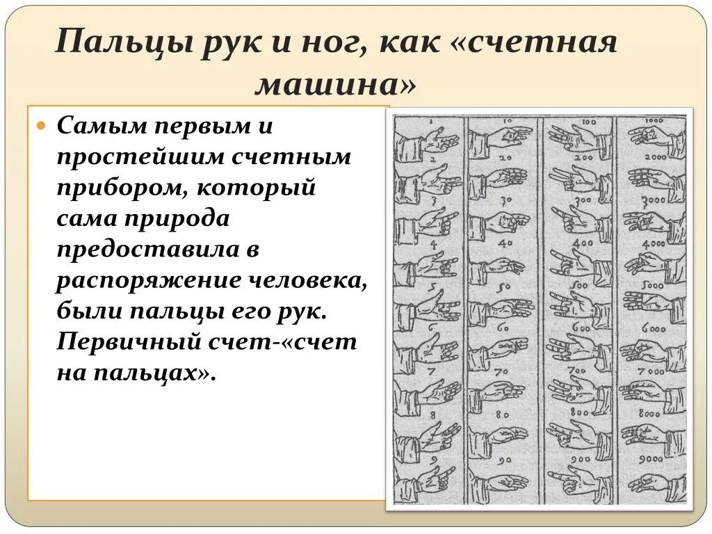 Пальцев 1 том. Древний счет на пальцах. Первое счетное средство пальцы. Счет на руках в древности. Пальцы рук и ног для счета.