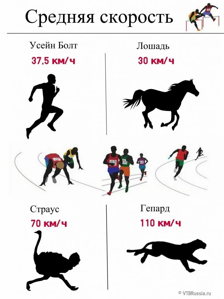 Средняя скорость бега человека. Максимальная скорость бега человека. Средняя скорость человека при беге. Средняя скорость бега человека в км/ч. Скорость спортсмена бегуна