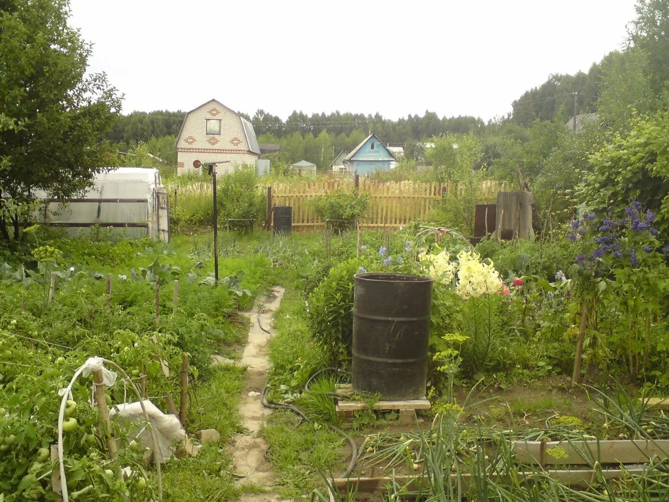 Садовое общество купить. Садово огородное товарищество. Садовое общество. Садовый участок СНТ. Садоводство дачное.